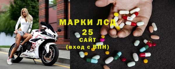 ПСИЛОЦИБИНОВЫЕ ГРИБЫ Лагань