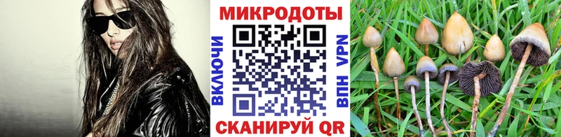 Галлюциногенные грибы Psilocybine cubensis  Спасск 